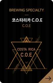 코스타리카 C.E.O