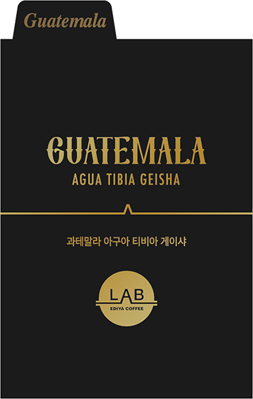 과테말라 아구아 티비아 게이샤