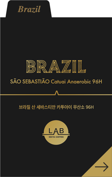 브라질 산 세바스티안 카투아이 무산소 96H